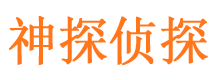 带岭寻人公司